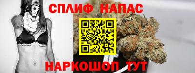 альфа пвп Новокубанск