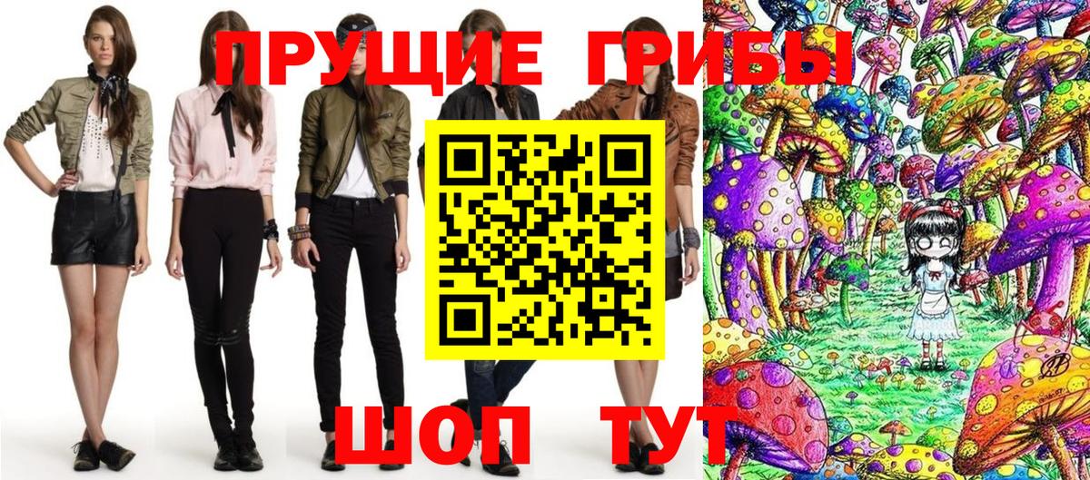 Галлюциногенные грибы Magic Shrooms  Вход с VPN  Галлюциногенные грибы ЛСД  Тамбов 
