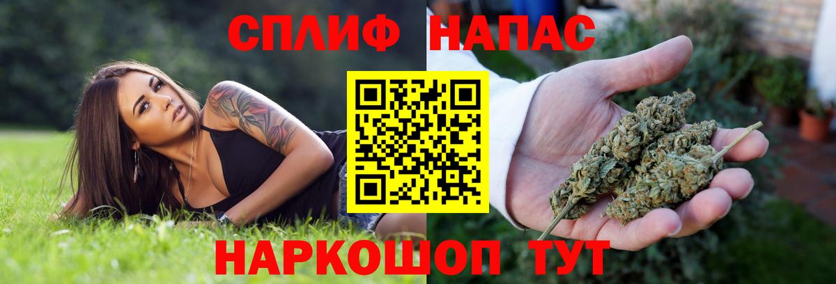 Марихуана гибрид Тамбов